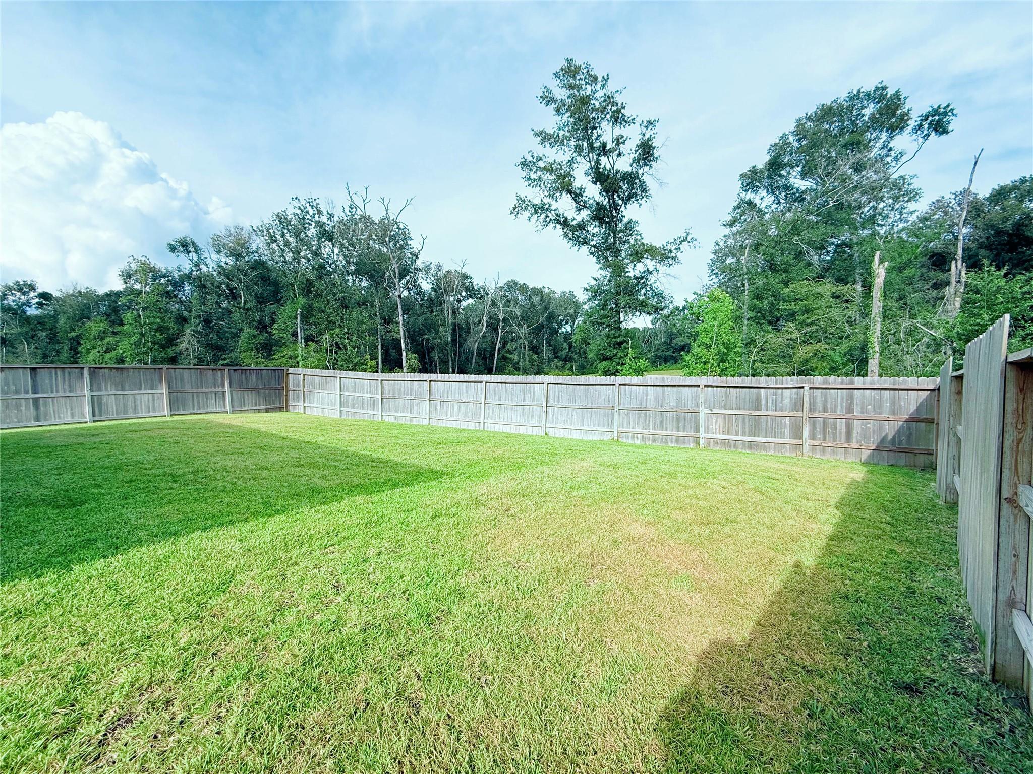 19591 Manduca Drive photo 33